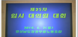 제25차 임시대의원대회 개최